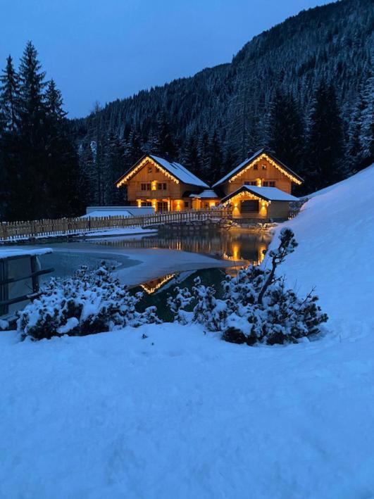 Bergseegut Chalet Und Apartment Wagrain Eksteriør billede