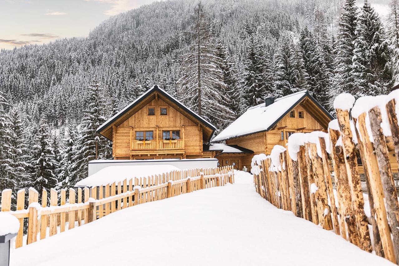 Bergseegut Chalet Und Apartment Wagrain Eksteriør billede