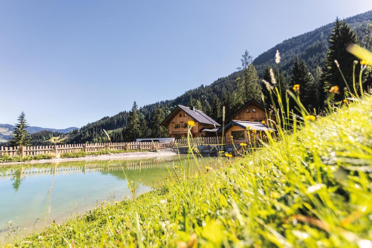Bergseegut Chalet Und Apartment Wagrain Eksteriør billede