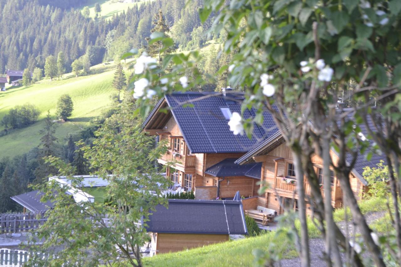 Bergseegut Chalet Und Apartment Wagrain Eksteriør billede
